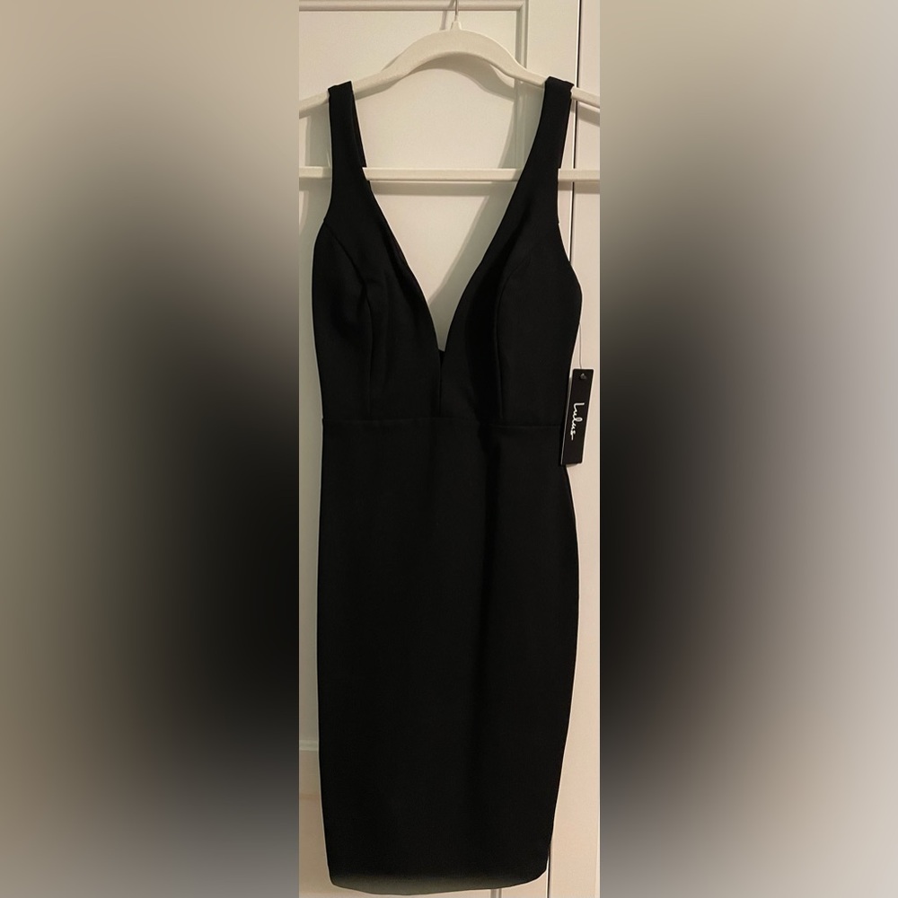 Fitted Plunge V Neck Dress